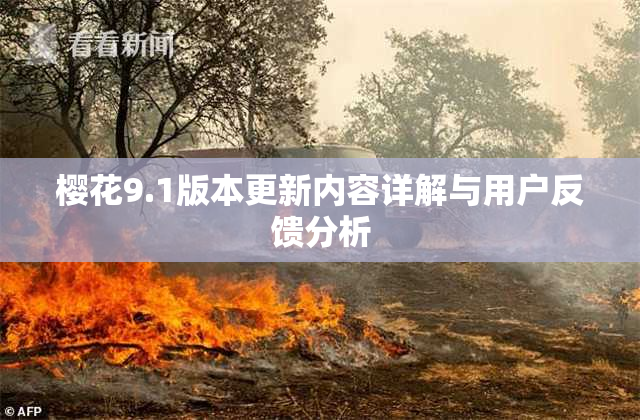 樱花9.1版本更新内容详解与用户反馈分析