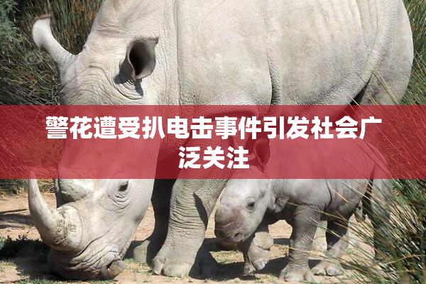 警花遭受扒电击事件引发社会广泛关注