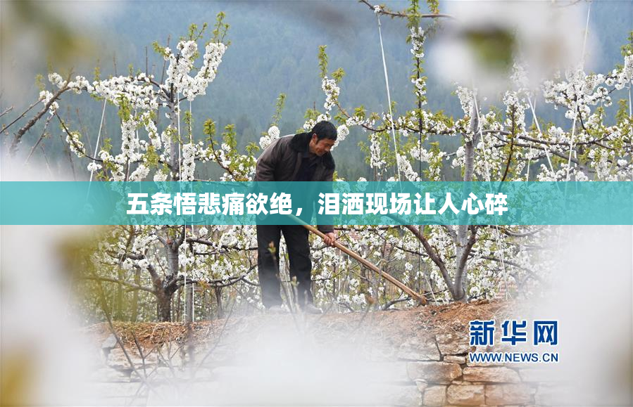 五条悟悲痛欲绝，泪洒现场让人心碎