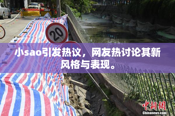 小sao引发热议，网友热讨论其新风格与表现。