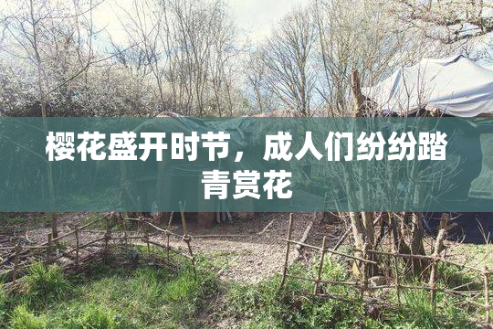 樱花盛开时节，成人们纷纷踏青赏花