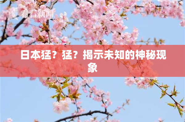日本猛？猛？揭示未知的神秘现象