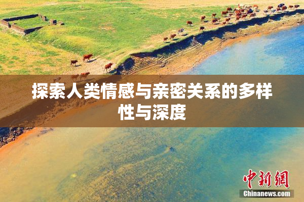 探索人类情感与亲密关系的多样性与深度