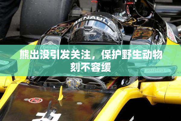 熊出没引发关注，保护野生动物刻不容缓