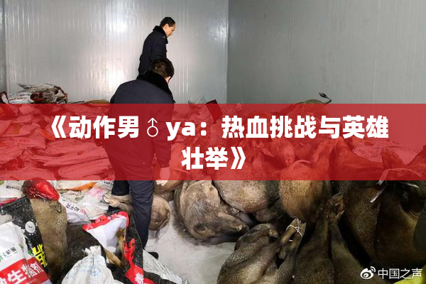 《动作男♂ya：热血挑战与英雄壮举》