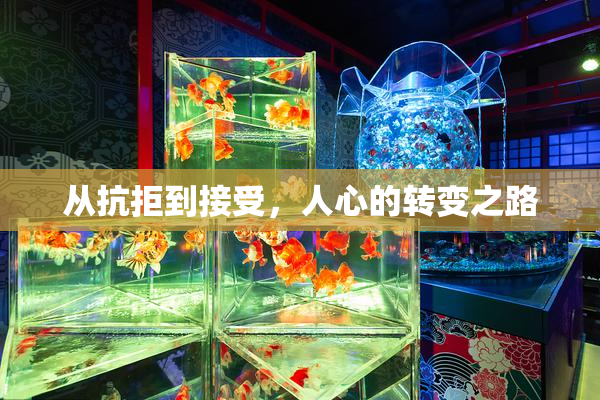从抗拒到接受，人心的转变之路
