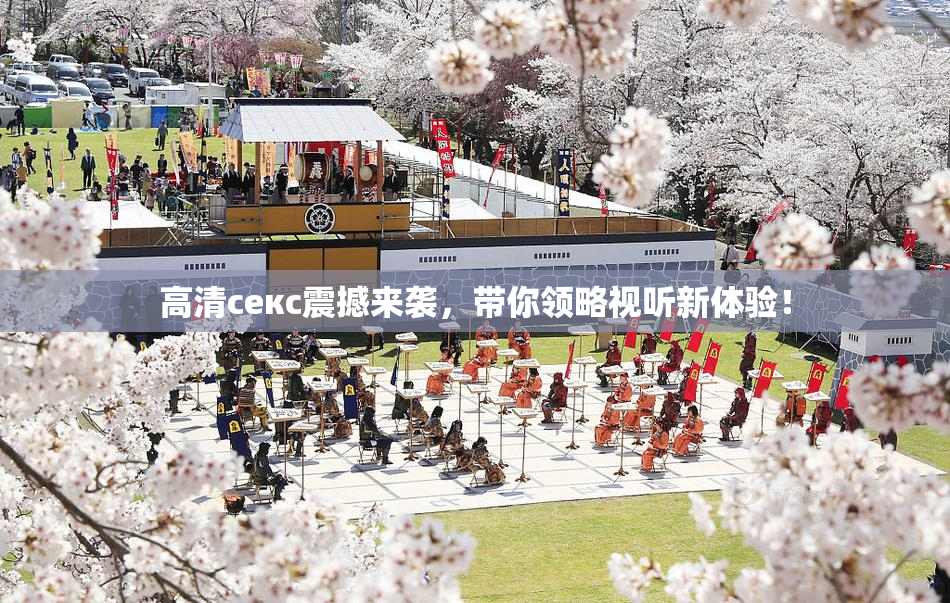 高清ceкс震撼来袭，带你领略视听新体验！