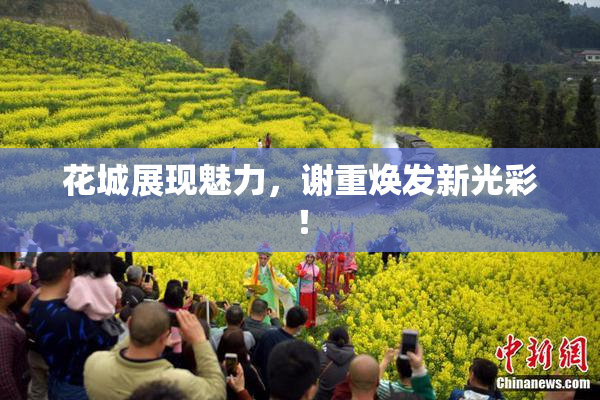 花城展现魅力，谢重焕发新光彩！