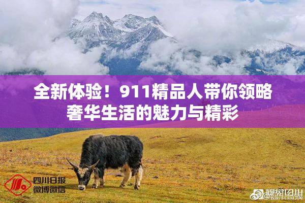 全新体验！911精品人带你领略奢华生活的魅力与精彩