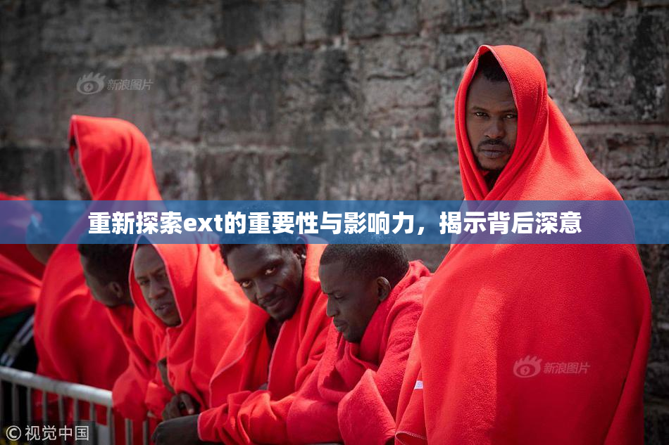 重新探索ext的重要性与影响力，揭示背后深意