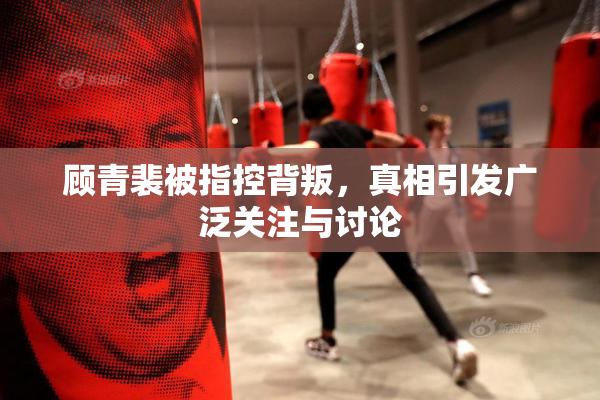 顾青裴被指控背叛，真相引发广泛关注与讨论