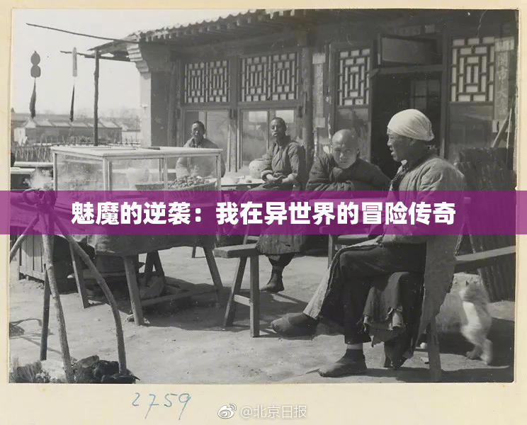魅魔的逆袭：我在异世界的冒险传奇