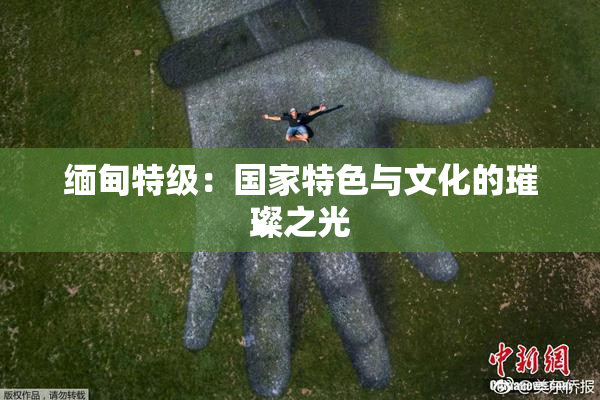 缅甸特级：国家特色与文化的璀璨之光