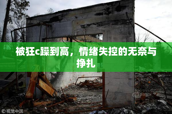 被狂c躁到高，情绪失控的无奈与挣扎