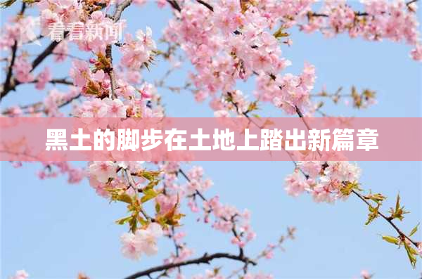 黑土的脚步在土地上踏出新篇章