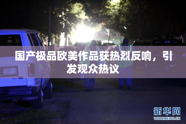 国产极品欧美作品获热烈反响，引发观众热议