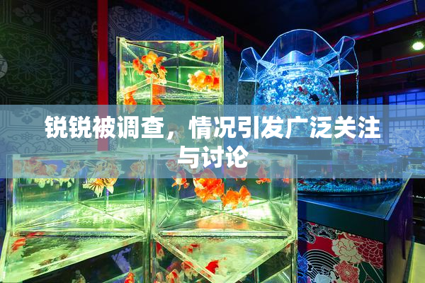 锐锐被调查，情况引发广泛关注与讨论