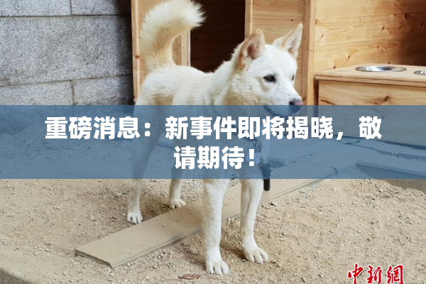 重磅消息：新事件即将揭晓，敬请期待！