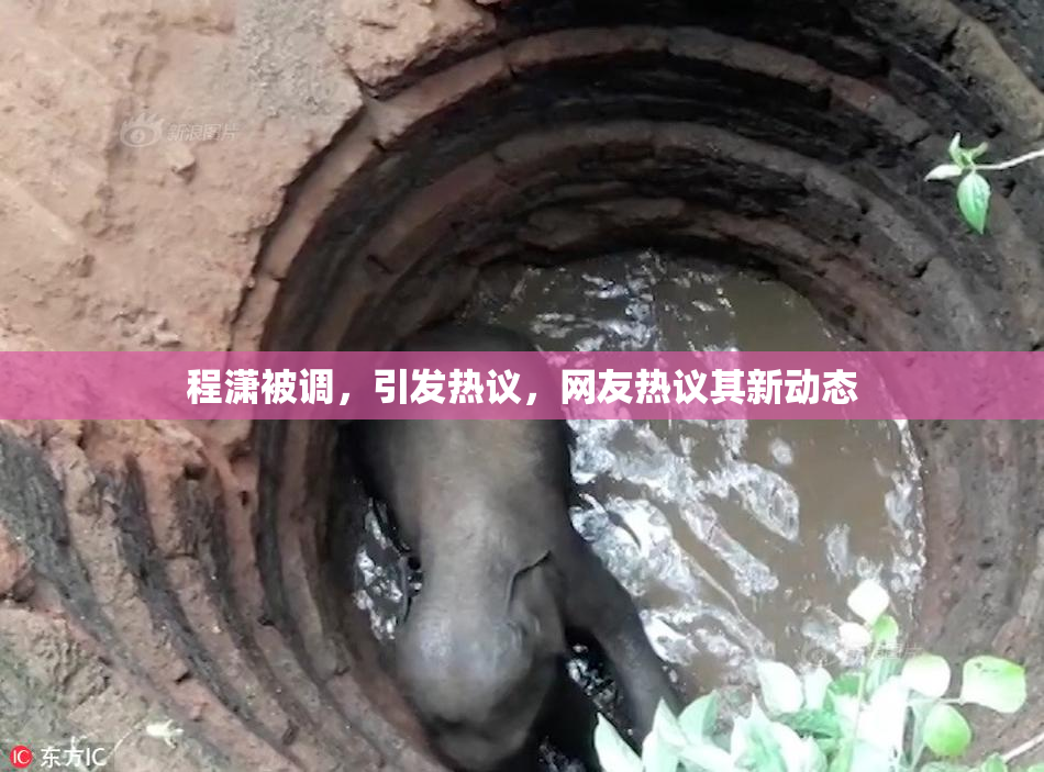 程潇被调，引发热议，网友热议其新动态