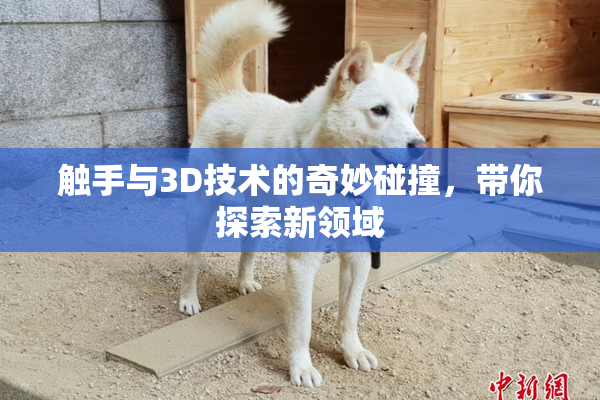 触手与3D技术的奇妙碰撞，带你探索新领域