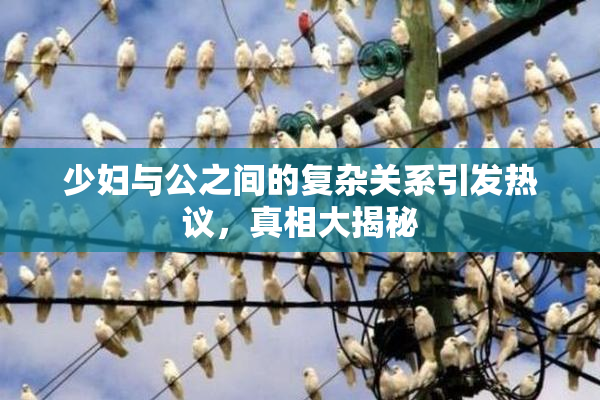少妇与公之间的复杂关系引发热议，真相大揭秘
