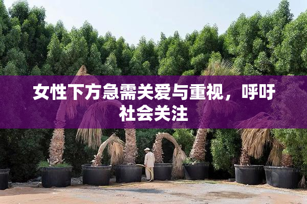 女性下方急需关爱与重视，呼吁社会关注
