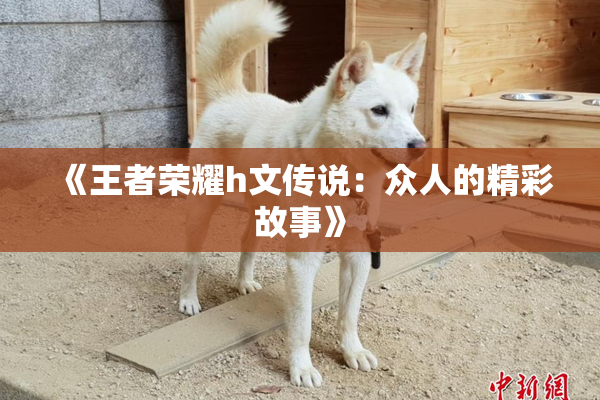 《王者荣耀h文传说：众人的精彩故事》