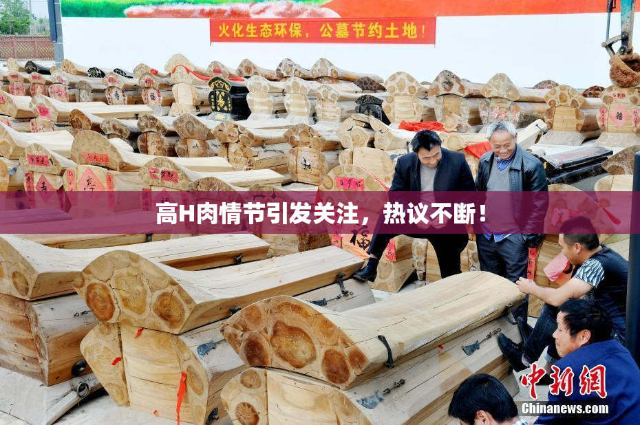 高H肉情节引发关注，热议不断！