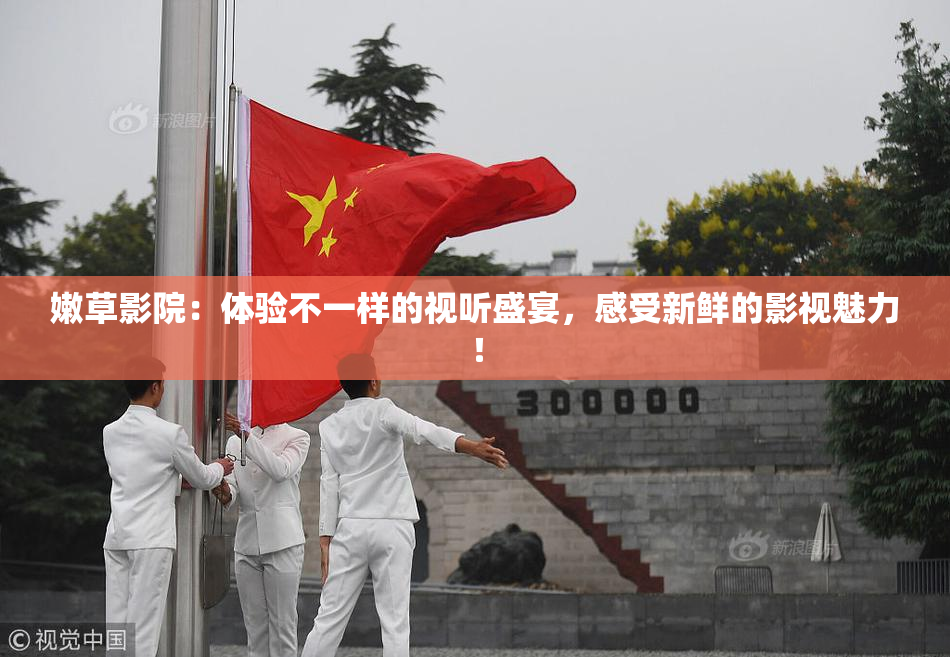 嫩草影院：体验不一样的视听盛宴，感受新鲜的影视魅力！