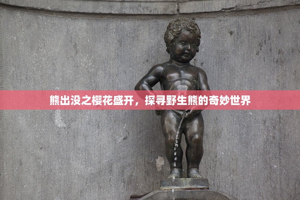 熊出没之樱花盛开，探寻野生熊的奇妙世界