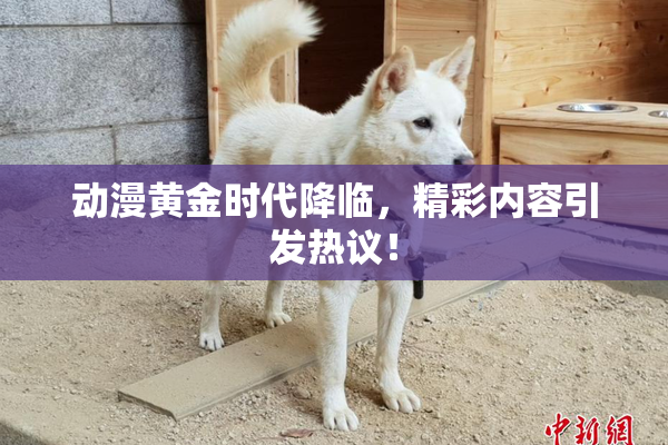动漫黄金时代降临，精彩内容引发热议！
