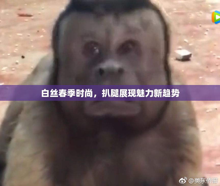 白丝春季时尚，扒腿展现魅力新趋势