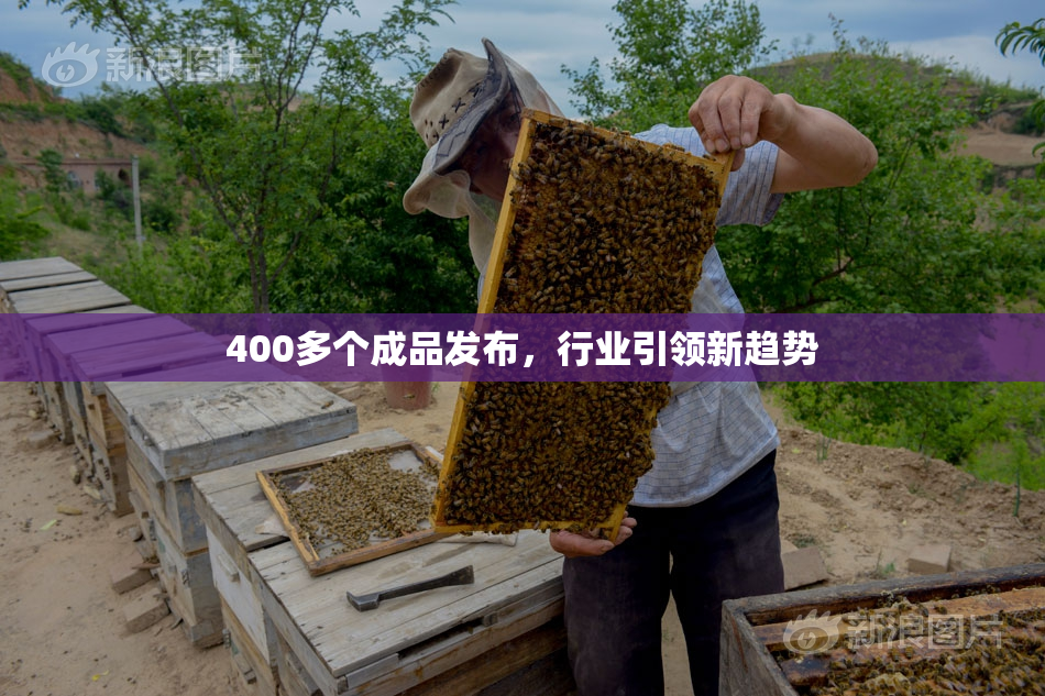 400多个成品发布，行业引领新趋势