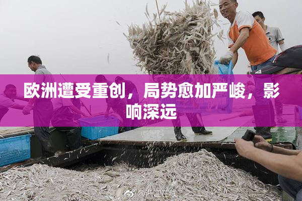 欧洲遭受重创，局势愈加严峻，影响深远