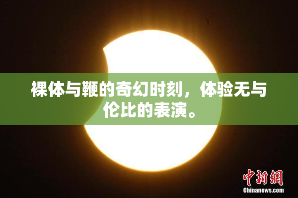 裸体与鞭的奇幻时刻，体验无与伦比的表演。