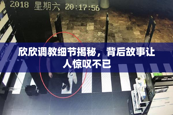 欣欣调教细节揭秘，背后故事让人惊叹不已