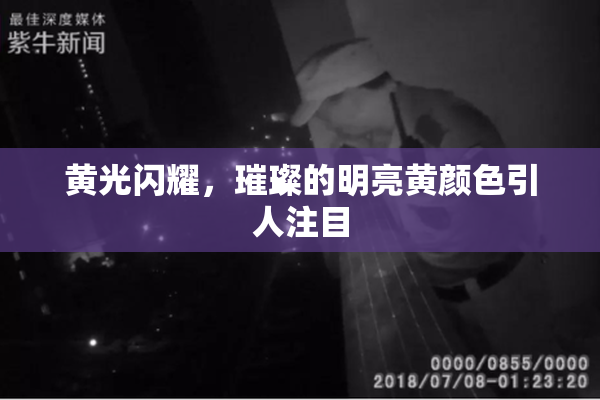 黄光闪耀，璀璨的明亮黄颜色引人注目