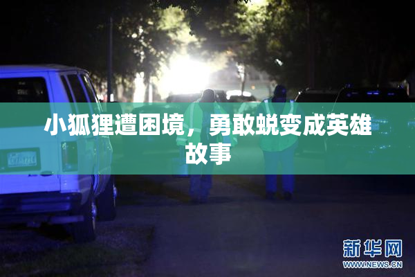 小狐狸遭困境，勇敢蜕变成英雄故事