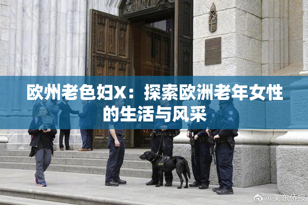 欧州老色妇X：探索欧洲老年女性的生活与风采