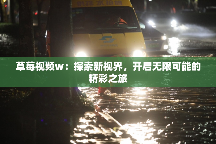 草莓视频w：探索新视界，开启无限可能的精彩之旅