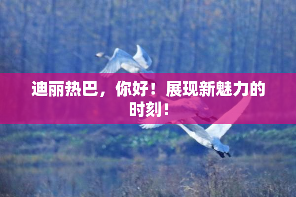 迪丽热巴，你好！展现新魅力的时刻！
