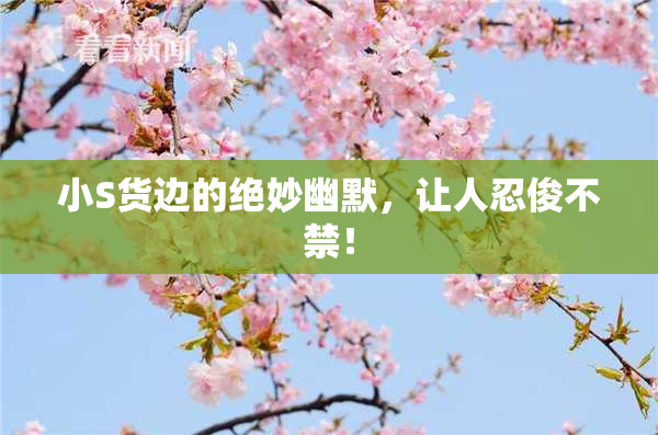 小S货边的绝妙幽默，让人忍俊不禁！