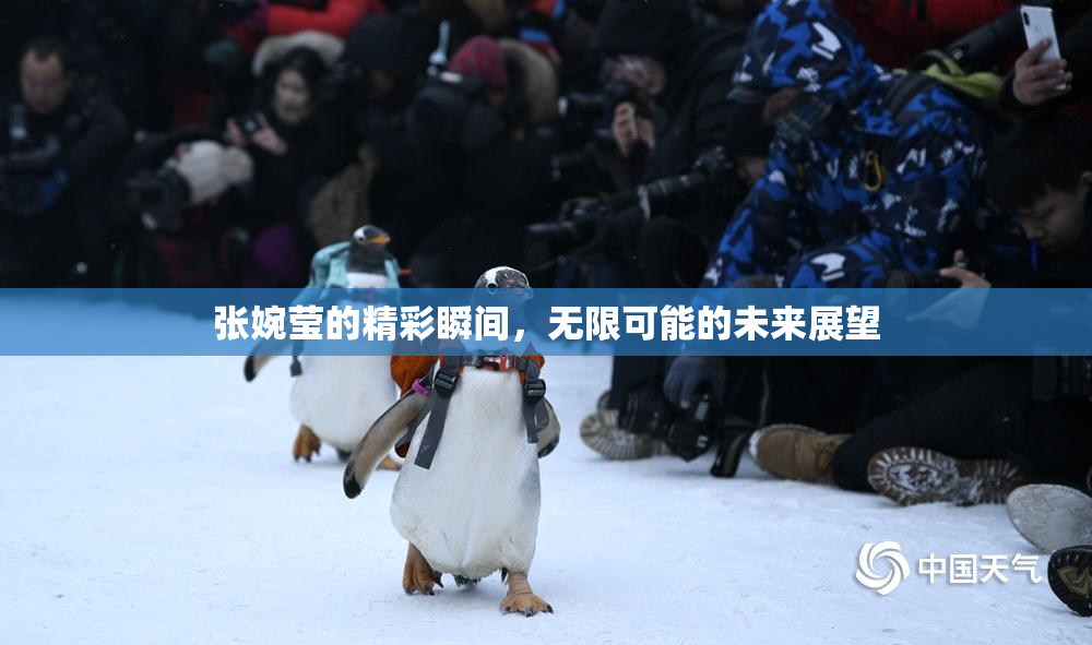 张婉莹的精彩瞬间，无限可能的未来展望