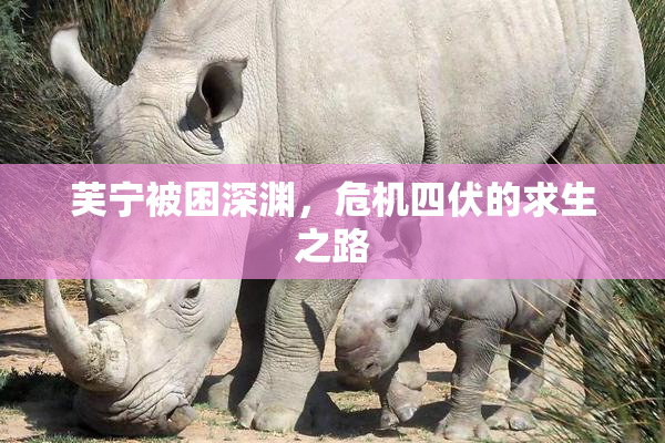 芙宁被困深渊，危机四伏的求生之路