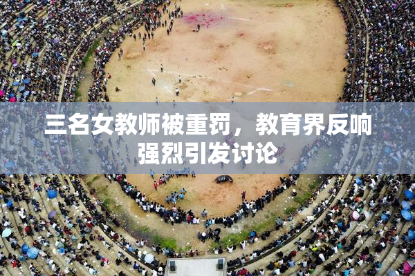 三名女教师被重罚，教育界反响强烈引发讨论