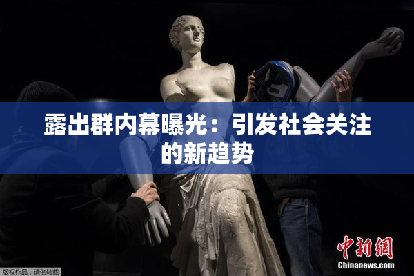 露出群内幕曝光：引发社会关注的新趋势