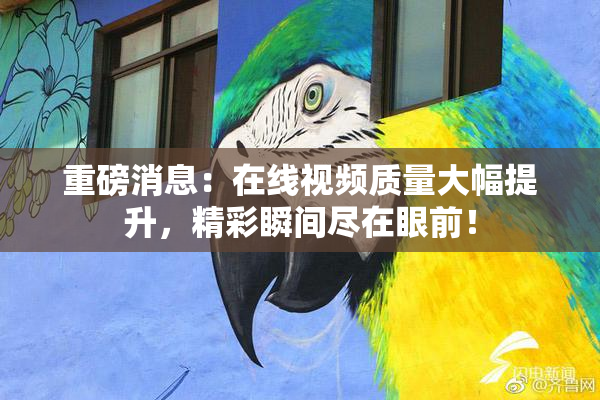 重磅消息：在线视频质量大幅提升，精彩瞬间尽在眼前！