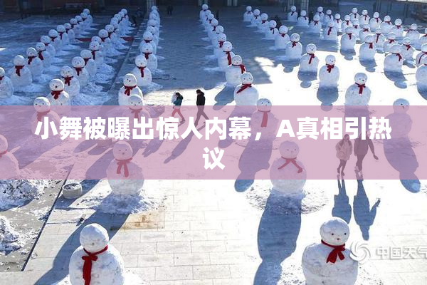 小舞被曝出惊人内幕，A真相引热议