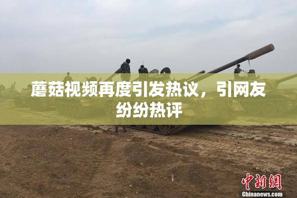 蘑菇视频再度引发热议，引网友纷纷热评