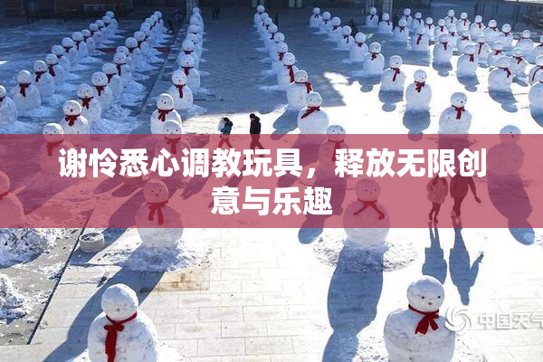 谢怜悉心调教玩具，释放无限创意与乐趣